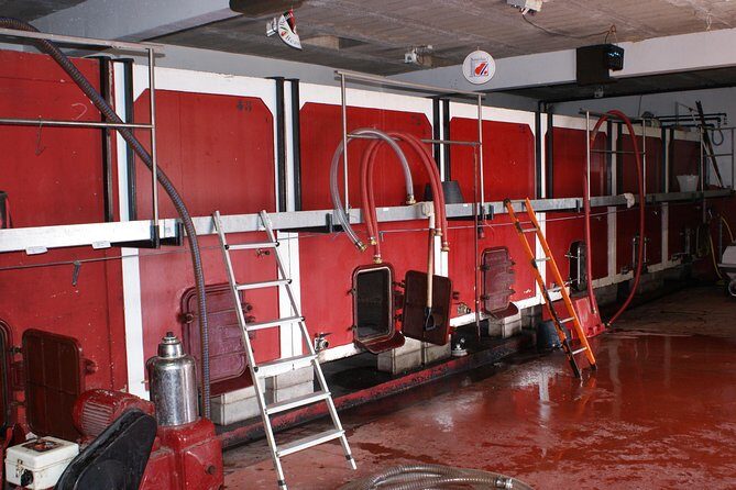 Beaujolais Wine Discovery - Half Day - Small group tour from Lyon - Exploring Beaujolais: A Small-Group Wine Tour from Lyon