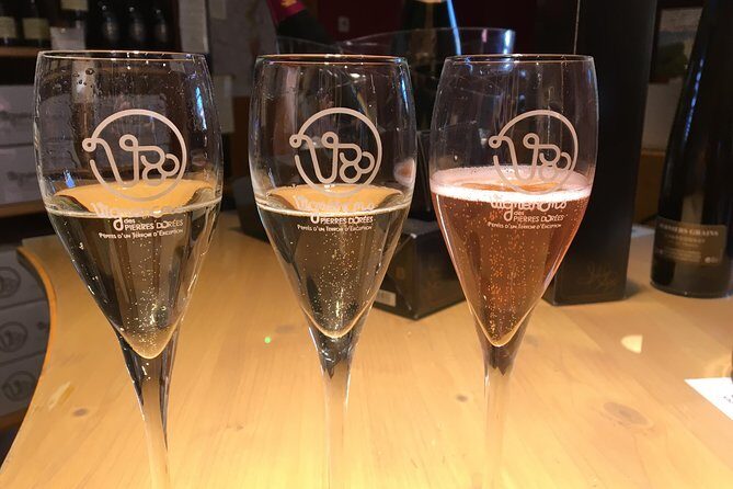 Beaujolais Wine Discovery - Half Day - Small group tour from Lyon - Who Will Love This Tour?