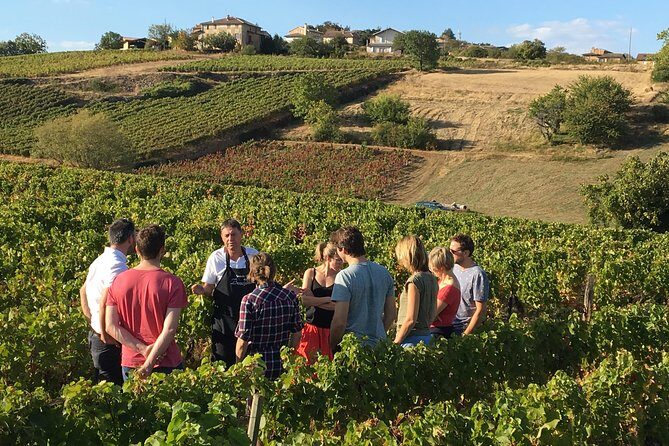 Beaujolais Wine Discovery - Half Day - Small group tour from Lyon - FAQ about the Beaujolais Wine Discovery Tour