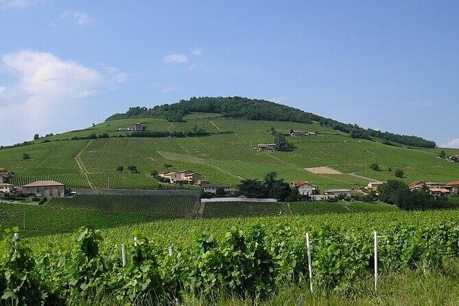 Beaujolais wine route, private tour from Lyon - What to Expect from the Itinerary