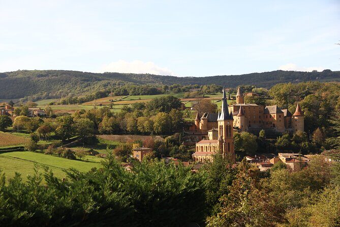 Beaujolais Wine Tour - Tastings & Gourmet Picnic Lunch - An In-Depth Look at the Beaujolais Wine Tour