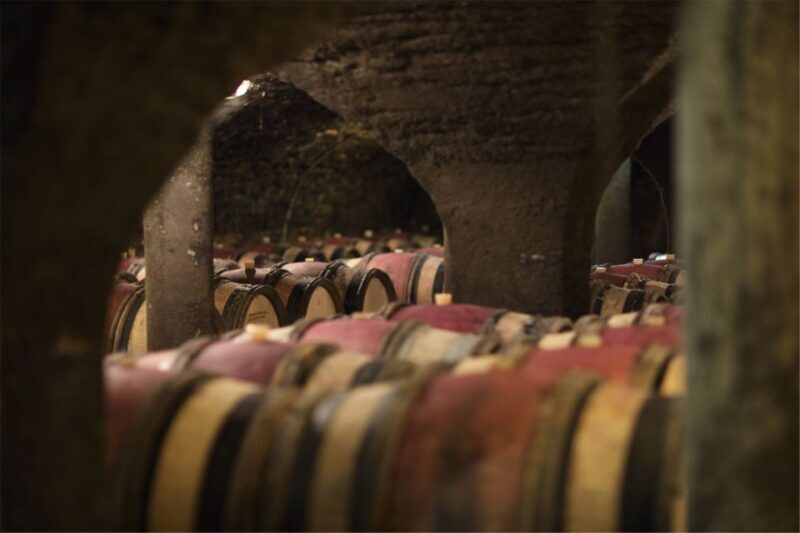 Beaune: Maison Champy Guided Cellar Tour with Wine Tasting - Final Thoughts: Who Should Consider This Tour?