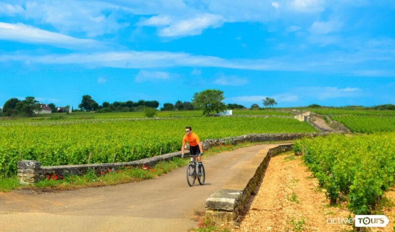 Beaune: Winery Tour by Bike with Wine Tasting - An Honest Look at the Beaune Bike & Wine Tour