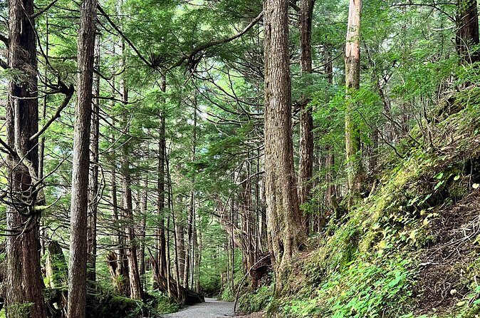 Beautiful Nature Walk On Ketchikan's Ward Creek Trail - FAQ