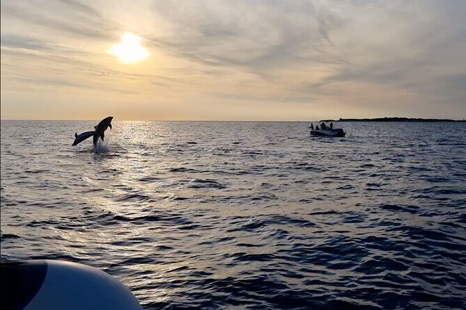 Beautiful Sunset and Dolphin Watching - A Closer Look at the Sunset and Dolphin Watching Experience