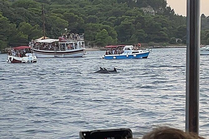 Beautiful Sunset and Dolphin Watching - Final Thoughts