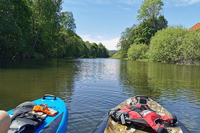 Beaver Safari on Stand up paddleboard in Hokksund - An In-Depth Look at the Experience