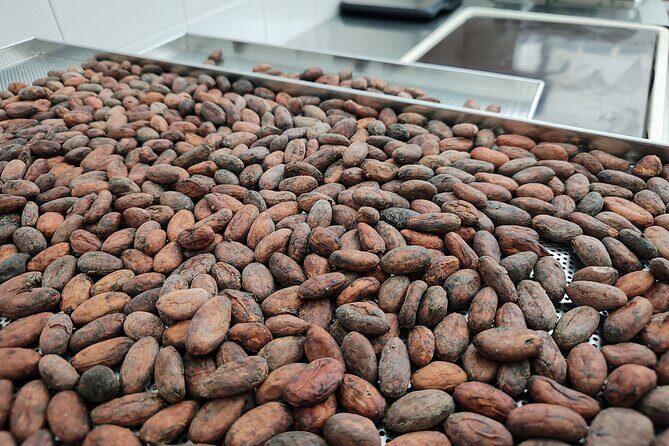 Become a chocolatier for a day, in Modica raw chocolate - The Experience: What You Can Expect