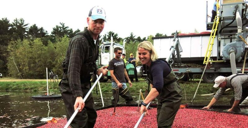 Become A Cranberry Bogger for a Day Experience - Who Will Love This Tour?