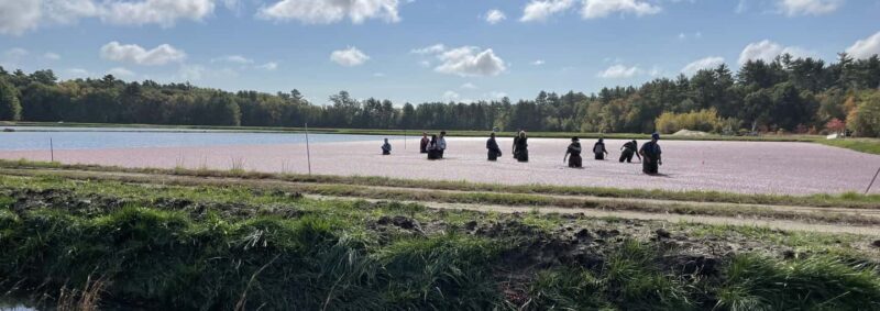 Become A Cranberry Bogger for a Day Experience - FAQs