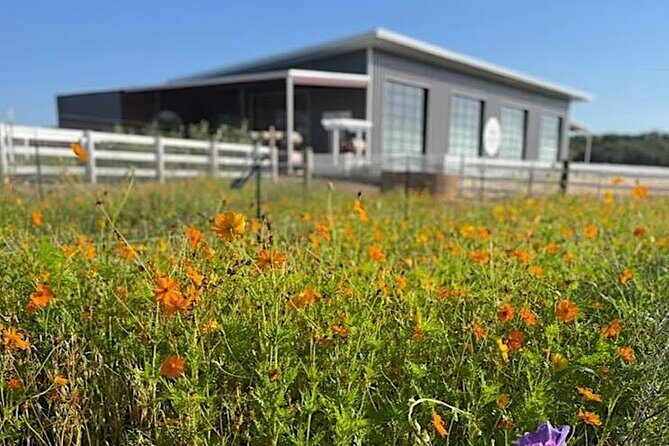 Become a Ranch Hand for a Day in Fredericksburg - Become a Ranch Hand for a Day in Fredericksburg: Honest Review and Practical Tips