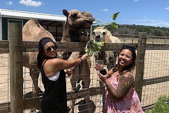 Become a Ranch Hand for a Day in Fredericksburg - Who Is This Tour Best For?