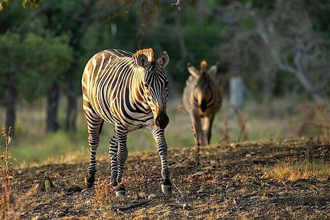 Become a Ranch Hand for a Day in Fredericksburg - Final Thoughts