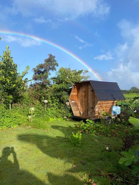 Bee Farm Tour & Honey Tasting - FAQ