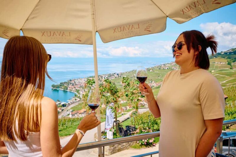 Beef tartare and wine tasting in the heart of the Lavaux vineyard - The Value and Overall Experience