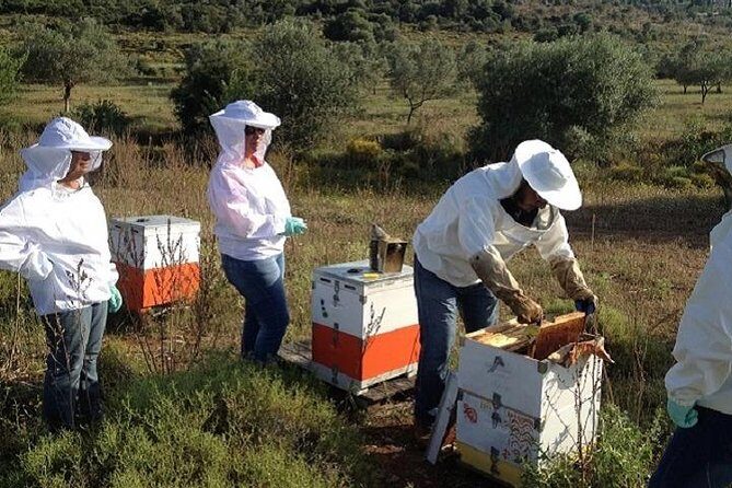Beekeeper for a Day close to Nafplio - What’s the Experience Like?