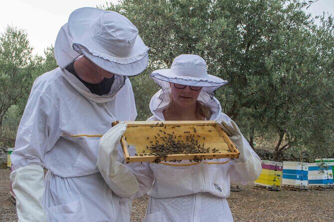 Beekeeping and Honey Stories in Itea - Exploring the Beekeeping and Honey Stories Tour in Itea