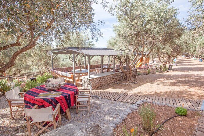 Beekeeping and Honey Stories in Itea - Who Should Consider This Tour?