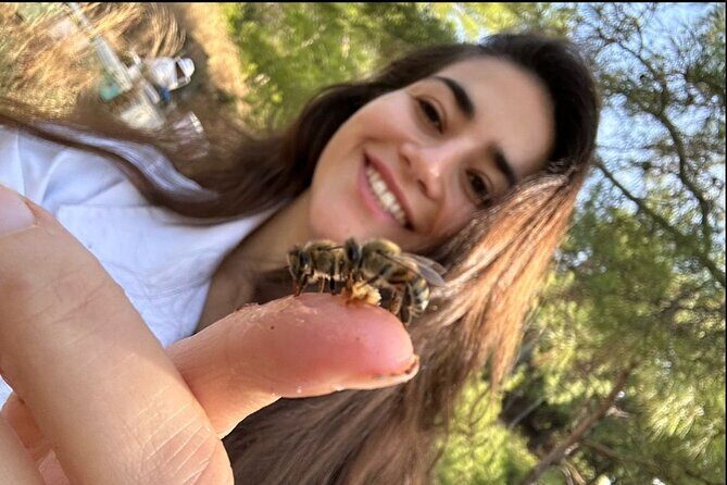 Beekeeping experience " Areti Honey " - Inside the Workshop: Learning the Art of Honey Extraction