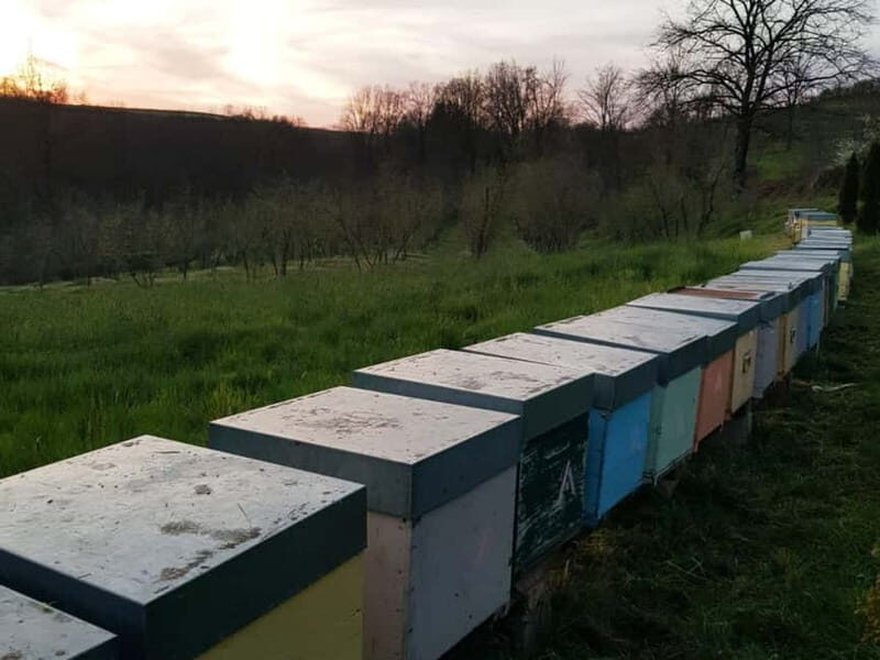 Beekeeping Tour and Honey Tasting Experience in Monferrato - Key Points