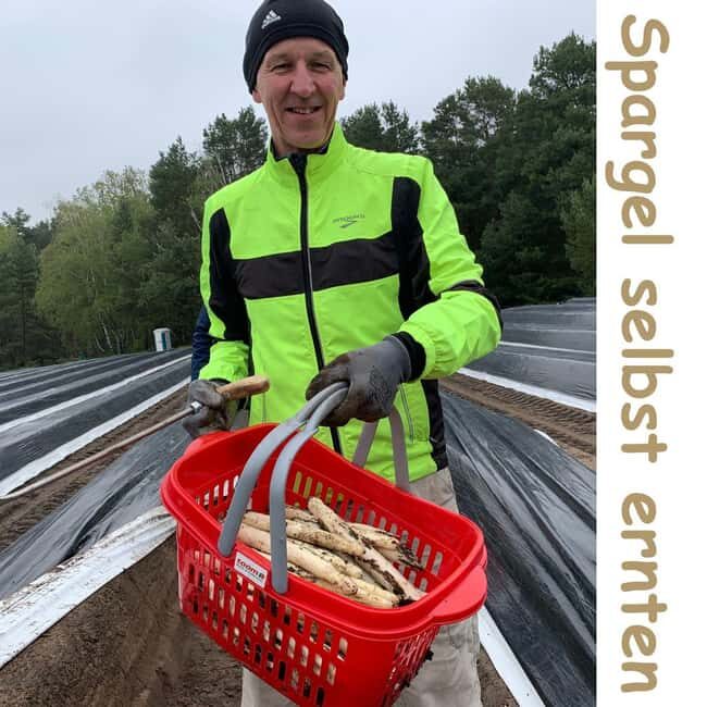 Beelitz: Harvest Beelitz asparagus yourself - Final Thoughts