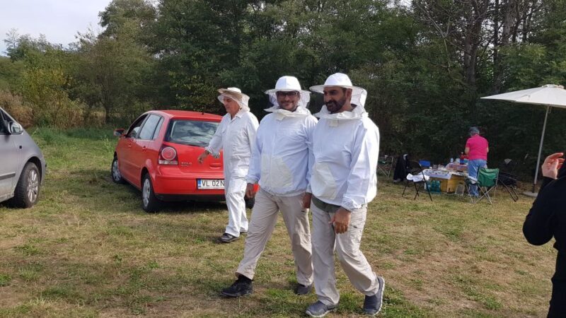 Bees in Romania - Private Beekeeping Lesson and Local Lunch - A Closer Look at the Beekeeping Experience in Romania
