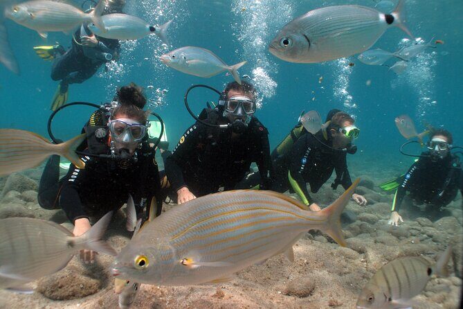 Beginner dive from Playa Chica with Instructor - What to Expect from the Experience