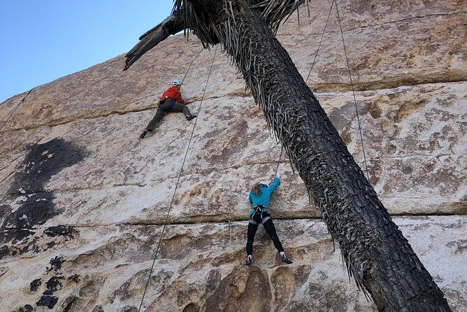 Beginner Group Rock Climbing in Joshua Tree National Park - What to Expect from the Tour