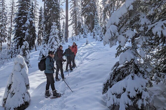 Beginner/Intermediate Snowshoeing in the Bitterroot Mountains - Key Points