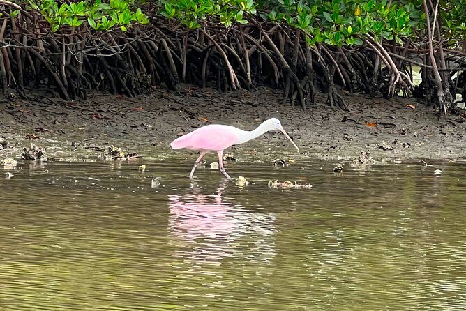 Beginner One Hour Guided Kayaking and SUP Activity - What to Expect from Your One-Hour Water Adventure