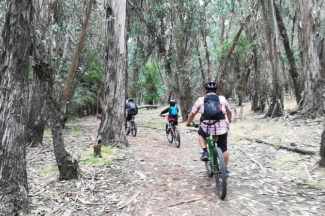 Beginner or Intermediate Mountain Bike Tour of Santa Barbara - Who Is This Tour Best For?