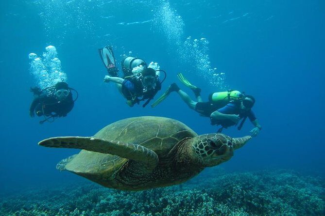 Beginner Scuba Dive in Lahaina: Swimming Required - Who Should Consider This Tour?