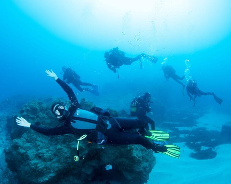 Beginner Scuba Dive with Scubapoint Tenerife in Turtle Area - What to Expect from the Itinerary