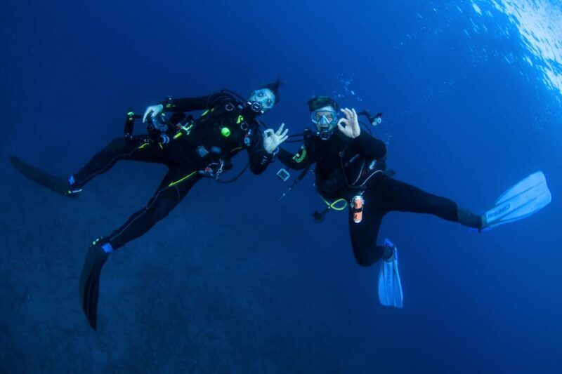 Beginner Scuba Dive with Scubapoint Tenerife in Turtle Area - The Experience’s Value