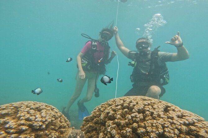 Beginner Scuba Experience with Video Package in Honolulu - The Value for Money