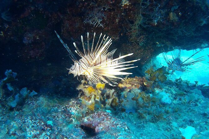 Beginners Discover Scuba Diving By Boat, Best Spot In Cyprus - The Itinerary: From Classroom to Blue Lagoon