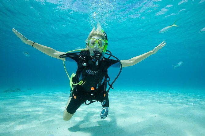Beginners Scuba Diving Experience in Gran Canaria - What to Expect from Your Dive Experience
