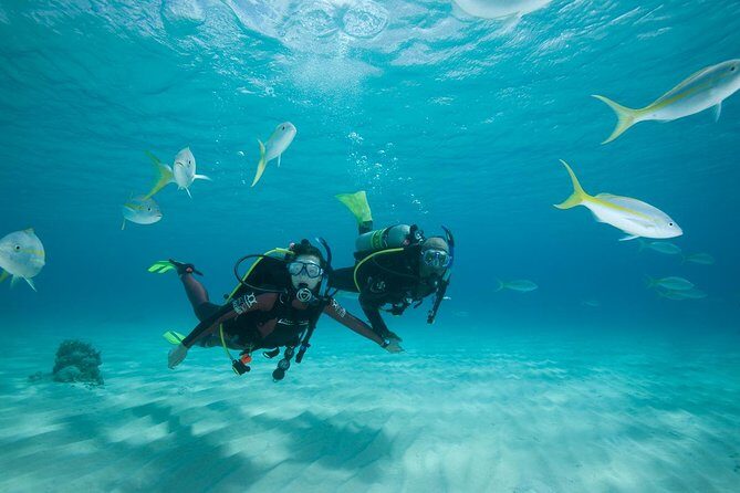 Beginners Scuba Diving Experience in Gran Canaria - Duration and Logistics