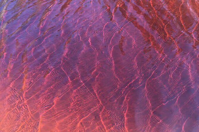 Behind The Bay - Explore Like a Local: Waterfalls/paddleboarding - An In-Depth Look at the Tour