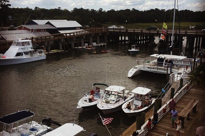 Behind the Scenes of Shem Creek Shrimp Walking Tour - The Experience and Guide