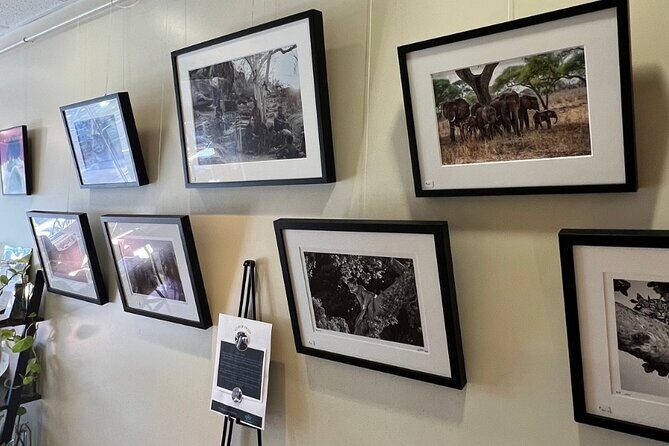 Behind The Scenes Of The Coffee Roasting Process 101 - What to Expect from the Coffee Roasting Tour