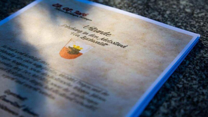 Beichlingen Palace: Exclusive tour with escape room-style puzzles - Is It Worth the Price?