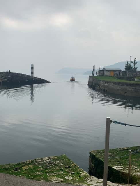 Belfast : Giants Causeway 8 hour private day tour - Key Points