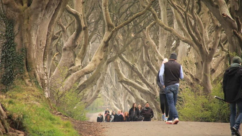 Belfast: Giants Causeway and North Coast Small Group Tour - Value for Money