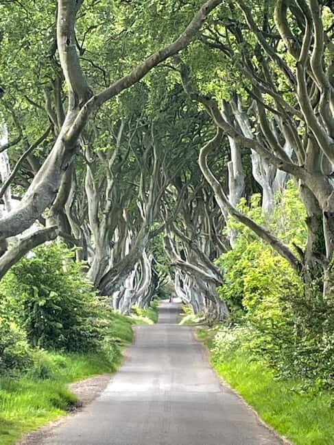 Belfast: Giants Causeway Tour Cruise Ship Excursion - An In-Depth Look at the Tour