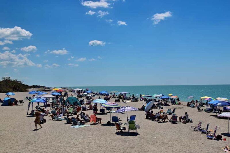 Belfast: Private Giant's Causeway Tour with Luxury Vehicle - Is It Worth the Price?