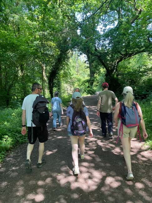 Belfast: Sir Thomas & Lady Dixon Park Walk & Alfresco Picnic - The Alfresco Picnic Experience