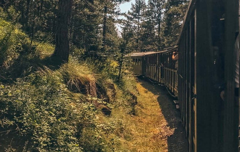 Belgrade: Best of West (Drina House, Drvengrad and Sargan 8) - Who Is This Tour Best For?