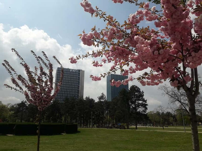 Belgrade: Guided Walking Tour - Who Should Consider This Tour?