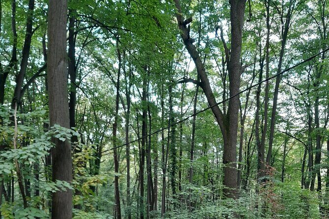 Belgrade Hiking Tour On Mountain Avala - Final Thoughts: Who Is This Tour For?